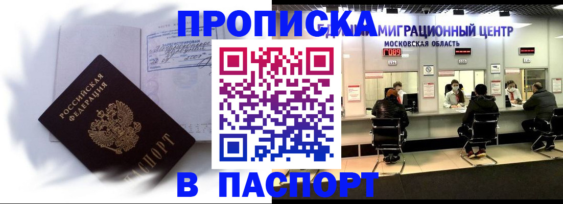 регистрация в Камчатской области